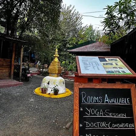 Institute Of Natural Medicine , Yoga & Therapy Home