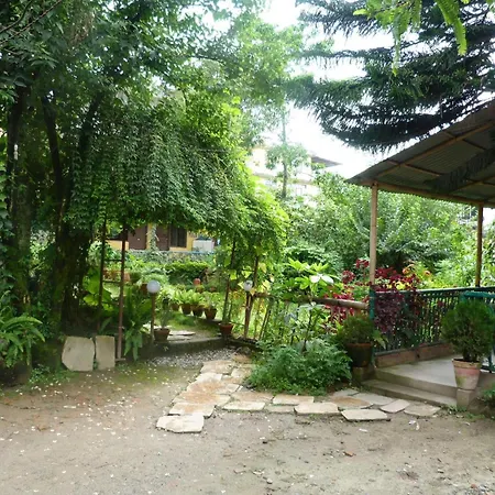Institute Of Natural Medicine , Yoga & Therapy Home