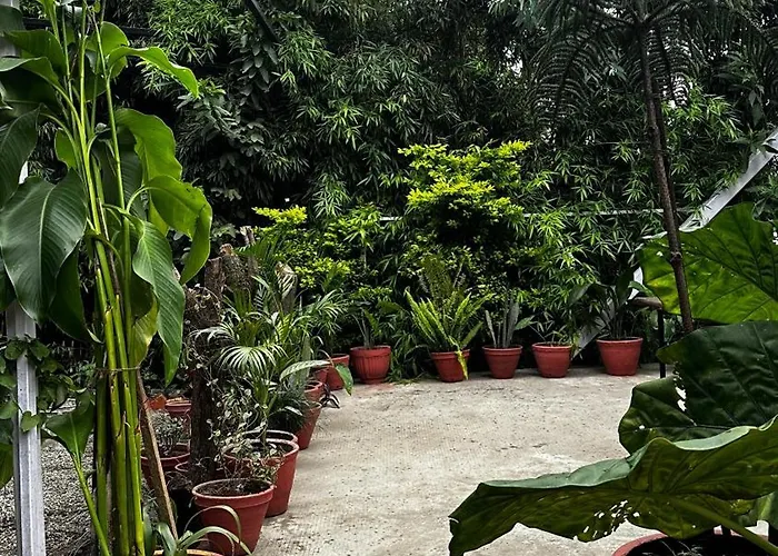 Institute Of Natural Medicine , Yoga & Therapy Frühstückspension Kathmandu