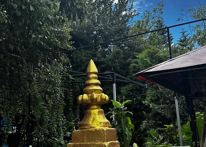 Institute Of Natural Medicine , Yoga & Therapy * Kathmandu