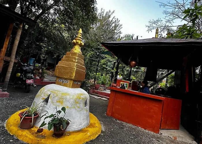 Institute Of Natural Medicine , Yoga & Therapy