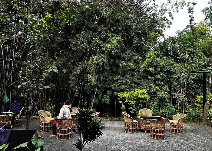 Institute Of Natural Medicine , Yoga & Therapy *