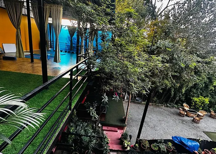 Institute Of Natural Medicine , Yoga & Therapy Bed and breakfast *