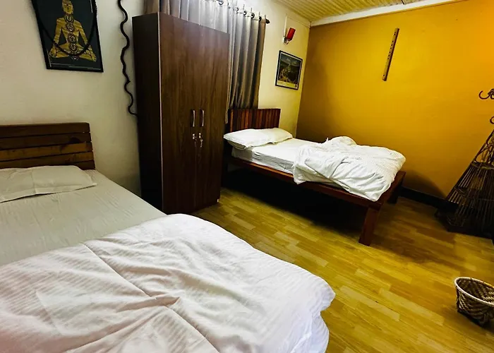 Institute Of Natural Medicine , Yoga & Therapy Bed and breakfast *