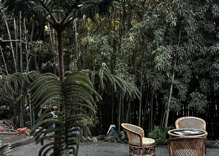 Institute Of Natural Medicine , Yoga & Therapy
