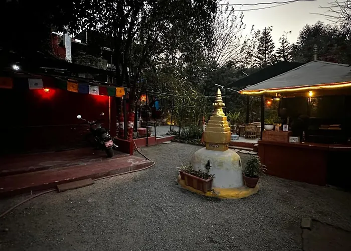 Institute Of Natural Medicine , Yoga & Therapy *