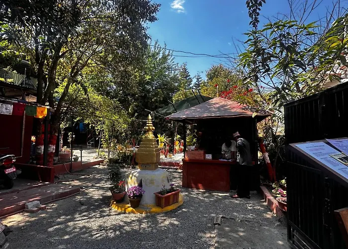 Institute Of Natural Medicine , Yoga & Therapy *