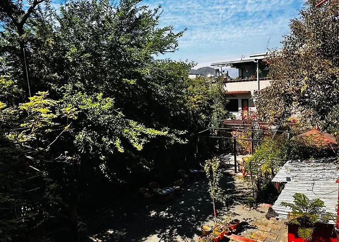 Institute Of Natural Medicine , Yoga & Therapy Frühstückspension Kathmandu