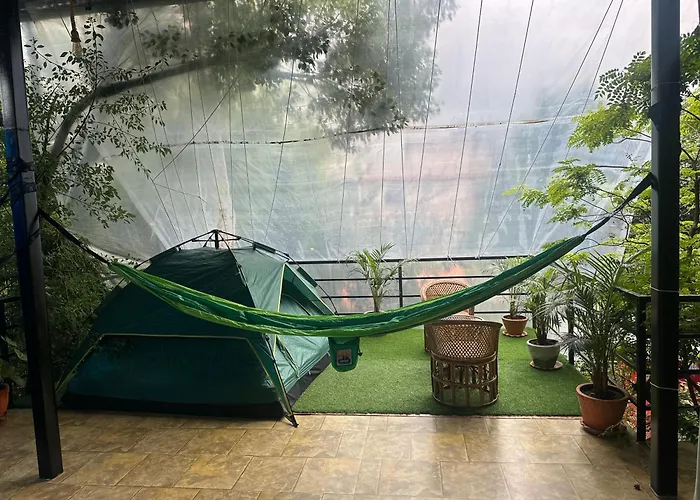 Institute Of Natural Medicine , Yoga & Therapy