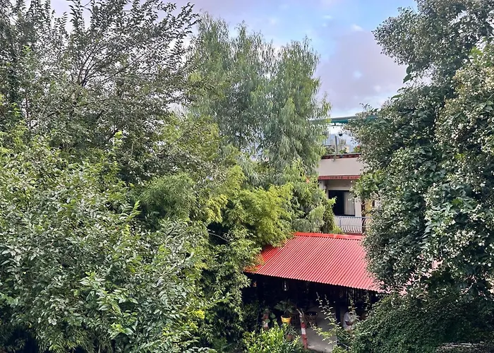 Institute Of Natural Medicine , Yoga & Therapy Frühstückspension